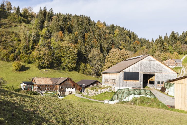 Bauernhof in Götzis
